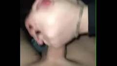 Luciollette2 Thumb