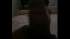 Gay Thumb