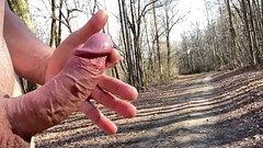 More risk = more reward? Thumb