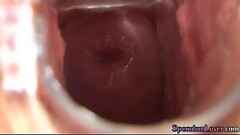 Speculum beauty dildo fucking pussy before spreading cunt Thumb