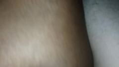 Otter pussy Thumb