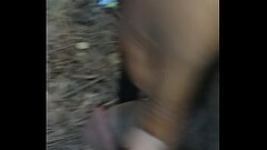 Quick time in the woods Thumb