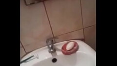 chileno duro Thumb
