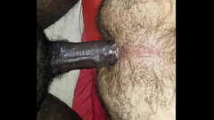 Fucking and breeding my bear buddy Thumb