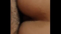 Pasivo tragon volaho Thumb